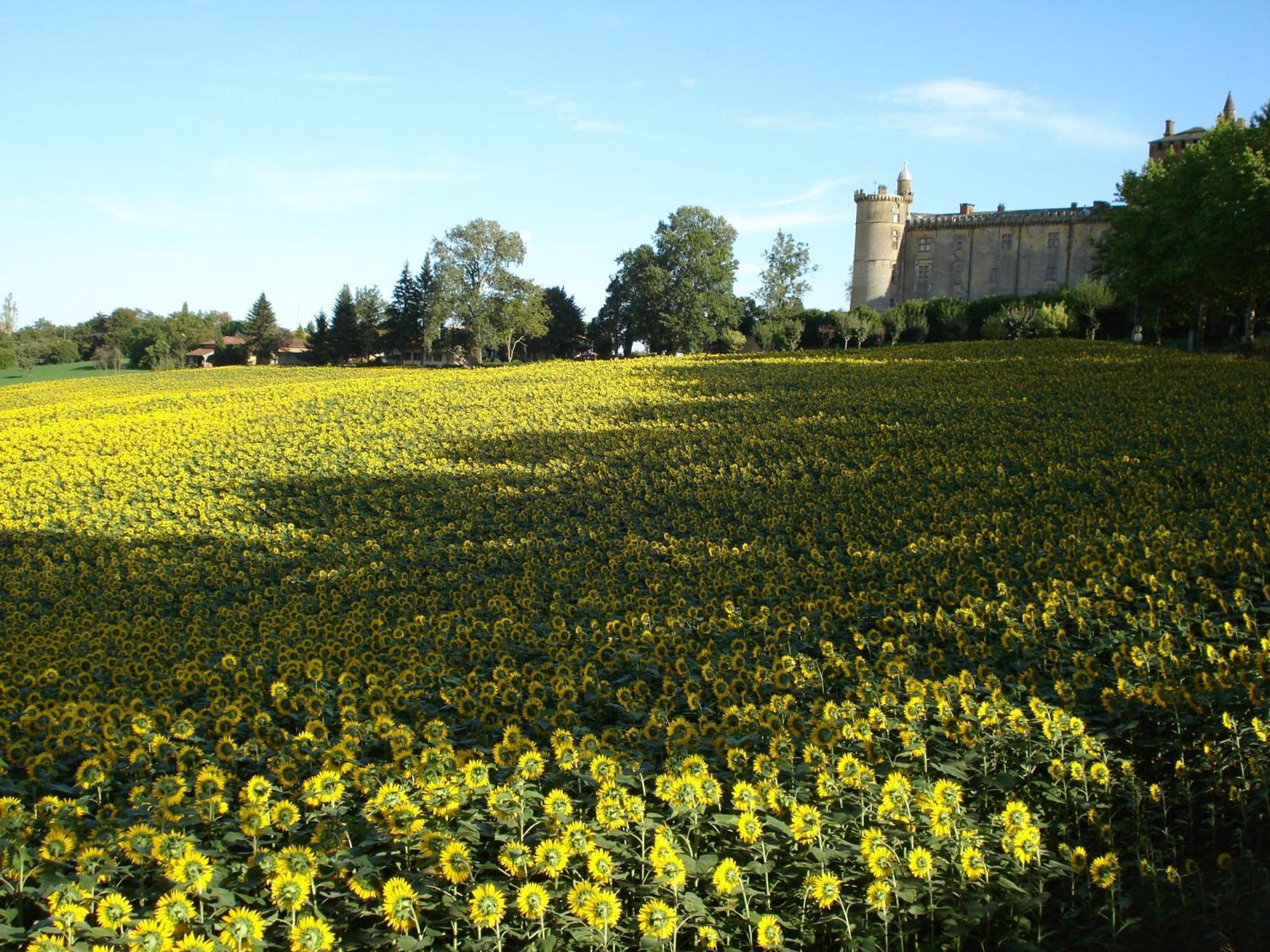 Отель Relais Du Chateau Saint-Blancard Экстерьер фото